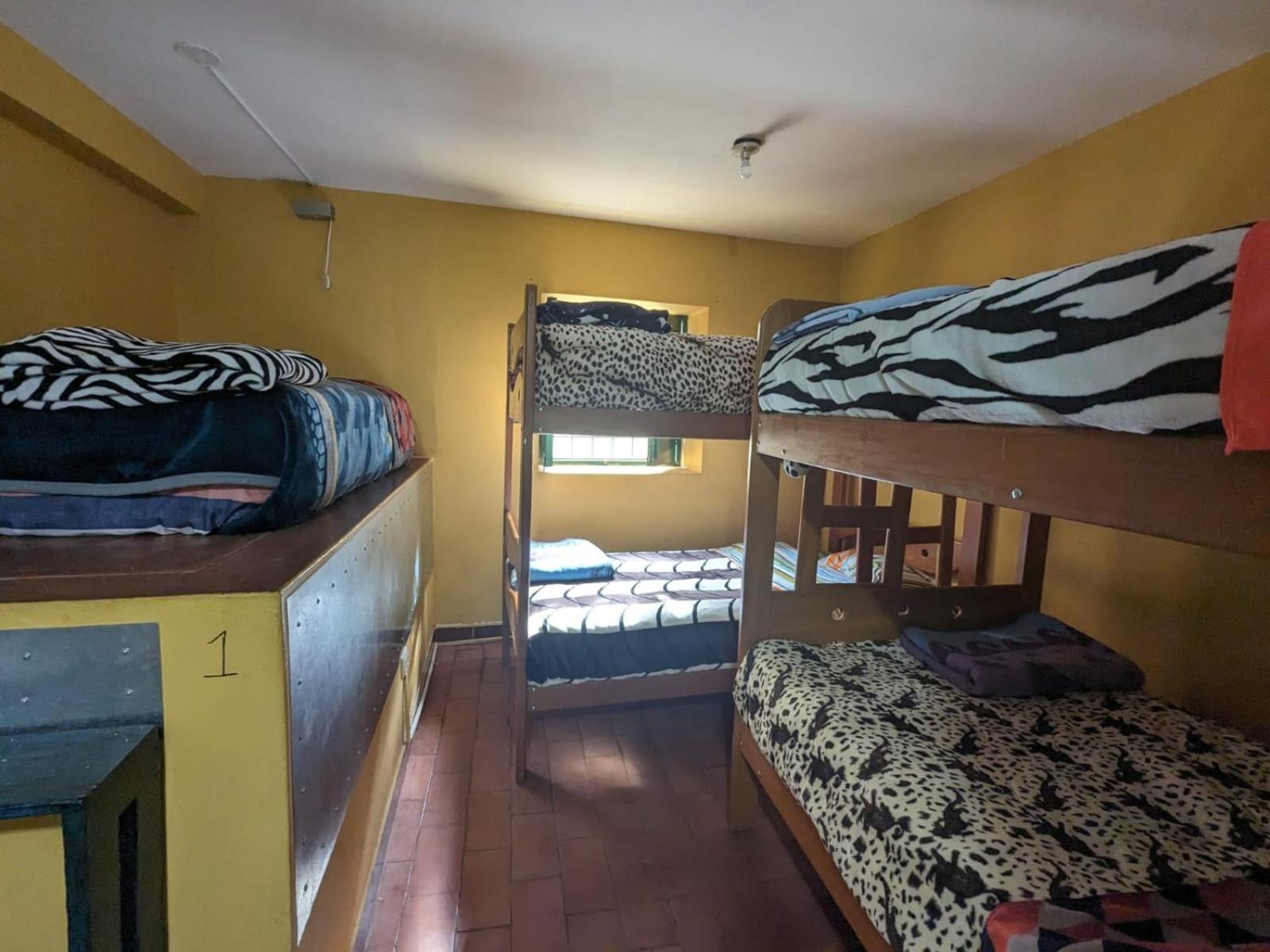 كوسكو Lord Shiva Hostel المظهر الخارجي الصورة